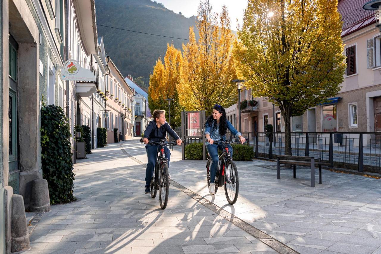 Dvorec Trebnik - Sobe Slovenske Konjice Ngoại thất bức ảnh